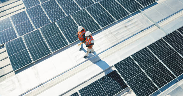 Best Skylight Installation and Repair  in Pulaski, TN